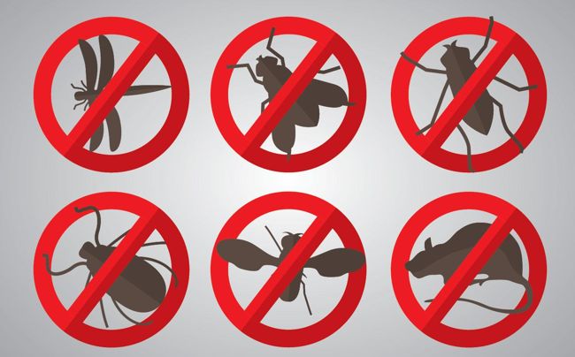 Residential Pest Control